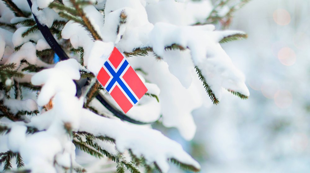 skup podrške studentima u Norveškoj