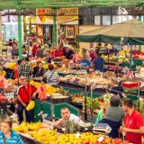 Ministarstvo poljoprivrede: Za otvaranje Klastera 5 brže reforme u bezbednosti hrane i veterine 6