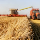 Odbor za poljoprivredu usvojio zahtev ratara o upisu u registar faktički korišćenog zemljišta 5