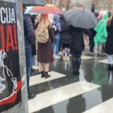 U Osnovnoj školi Žarko Zrenjanin u Novom Sadu u ponedeljak neće biti nastave: "Smatramo da zatvaranje očiju nije opcija" 13