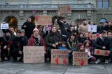 "Autoritarni i korumpirani sistem Vučića uzima sve više žrtava": Okupljeni u Bernu izrazili solidarnost sa demonstrantima u Srbiji (FOTO) 15