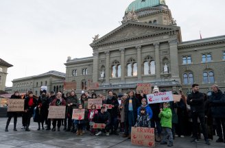 "Autoritarni i korumpirani sistem Vučića uzima sve više žrtava": Okupljeni u Bernu izrazili solidarnost sa demonstrantima u Srbiji (FOTO) 14