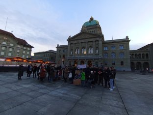 "Autoritarni i korumpirani sistem Vučića uzima sve više žrtava": Okupljeni u Bernu izrazili solidarnost sa demonstrantima u Srbiji (FOTO) 4