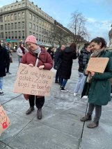"Autoritarni i korumpirani sistem Vučića uzima sve više žrtava": Okupljeni u Bernu izrazili solidarnost sa demonstrantima u Srbiji (FOTO) 3