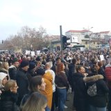 Građanski pokret Bravo podneo krivičnu prijavu protiv nepoznate osobe koja je pregazila psa Donu 6