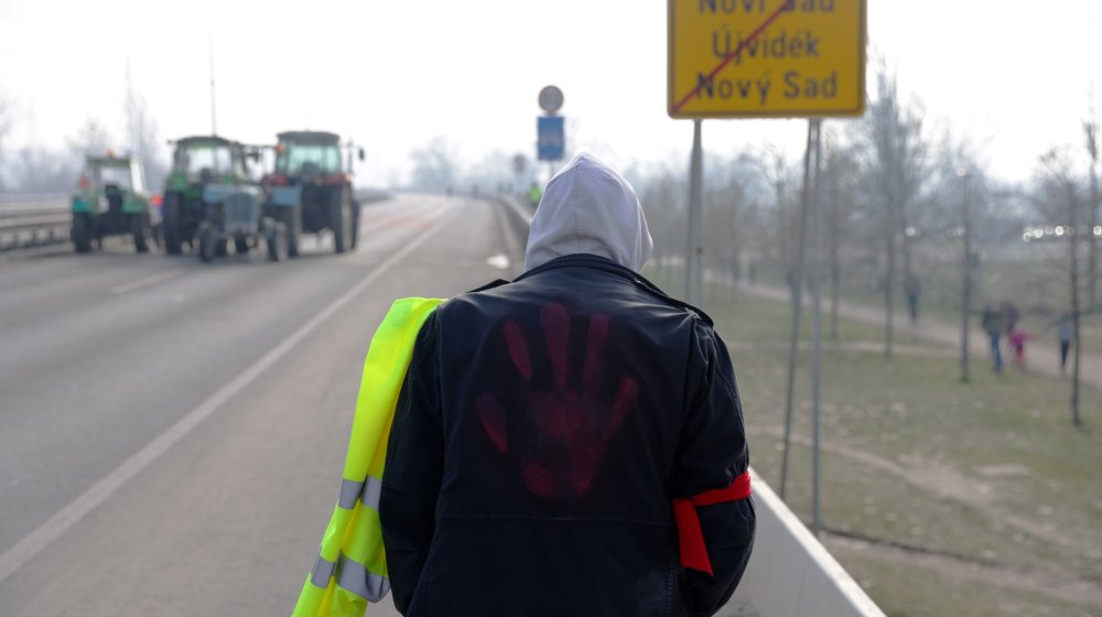 Ko su lisice, a ko sove u našoj šumi? 1