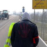 Ko su lisice, a ko sove u našoj šumi? 13