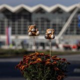 Anketna komisija: Pet spornih tačaka u rekonstrukciji nadstrešnice u Novom Sadu 4