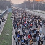 Profesor Stanojević: Studenti oslobodili građane straha, lopovi i ubice moraju odgovarati 8