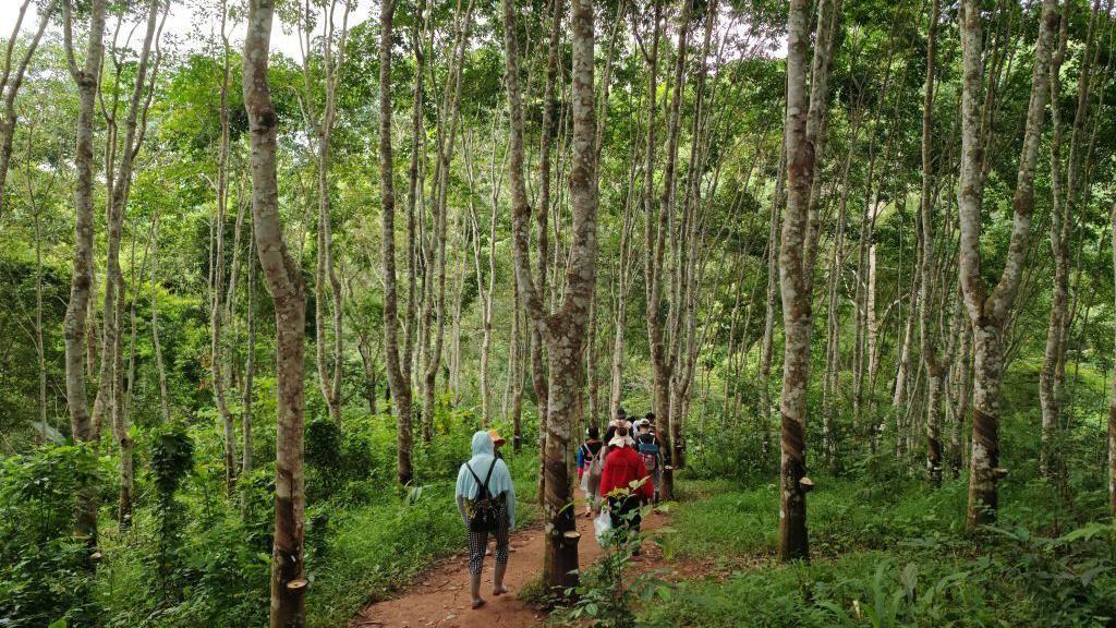 Praktični saveti za srećniji život 3 Ljudi šetaju kroz šumu