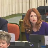 Zašto nije usvojena zajednička deklaracija evropskih i srpskih poslanika? 11