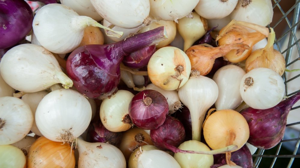 Kako da se jednostavno rešite zadaha posle luka? 1