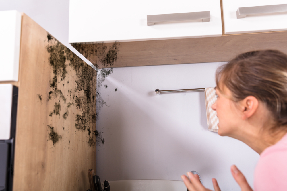 Da li je crna buđ najopasnija, kao što se misli? 1