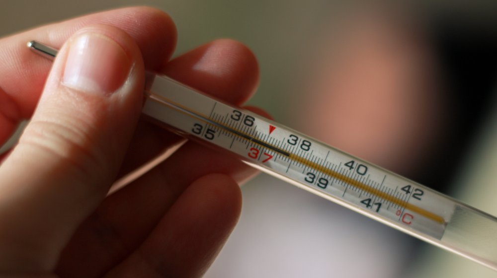 Ovi čajevi mogu sniziti temperaturu: Jedan od njih je takozvani biljni aspirin 1