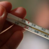 Ovi čajevi mogu sniziti temperaturu: Jedan od njih je takozvani biljni aspirin 8