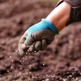 Poljoprivrednici Srbije: Mineralnih đubriva ima dovoljno, ali je skupo i rastu troškovi proizvodnje 10