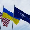 SAD, Ukrajina, NATO