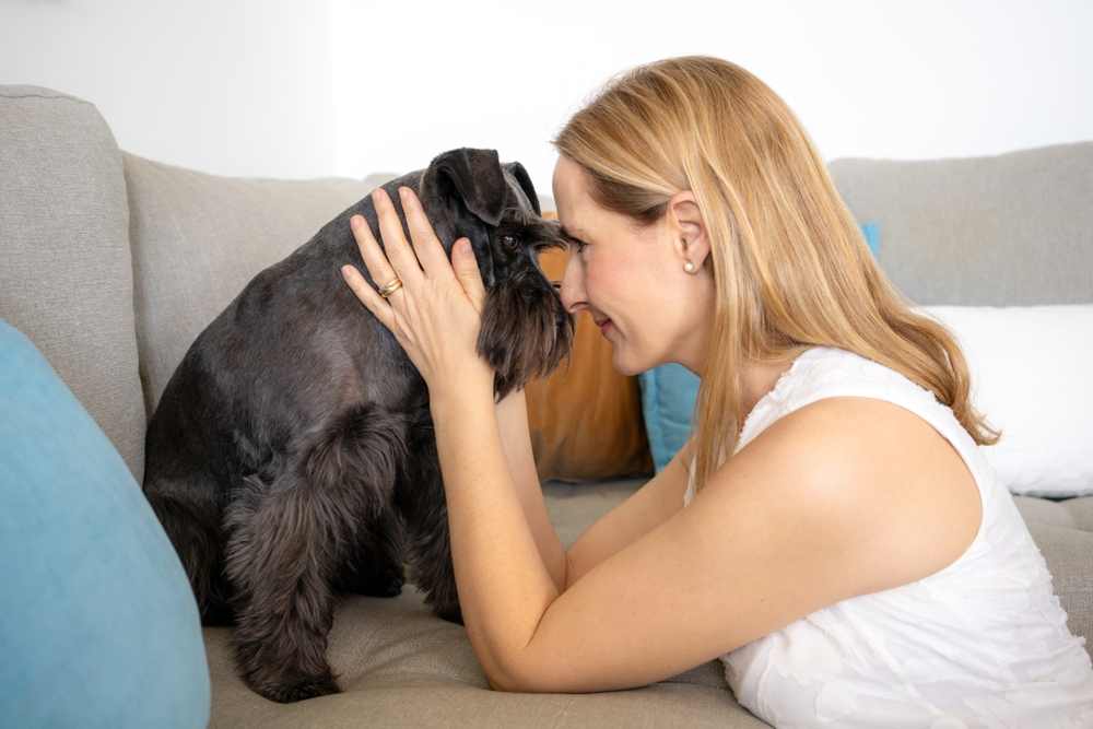 Ukoliko pas radi ovu stvar, to znači da želi da komunicira sa vama 1