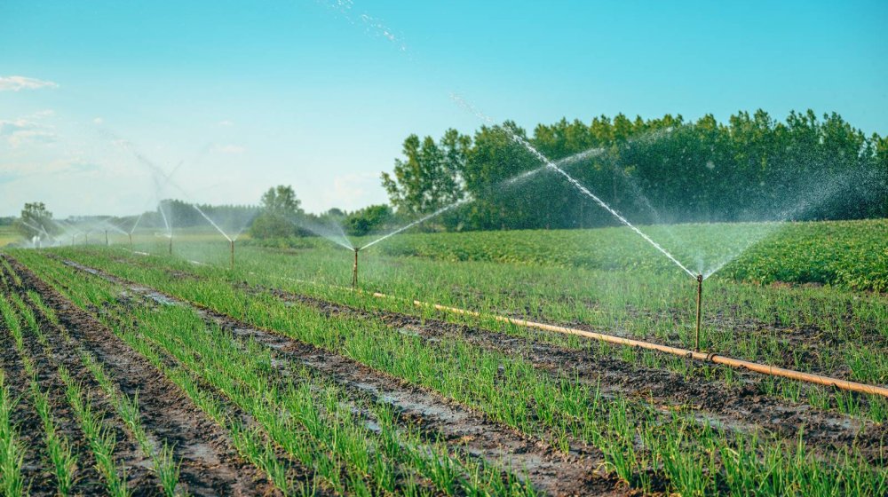 ministarstvo poljoprivrede