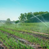 ministarstvo poljoprivrede