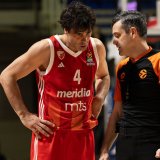 Milos Teodosic