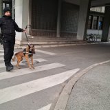 Gotov skup ispred Skupštine Novog Sada, Mićin na krako izašao iz zgrade 6