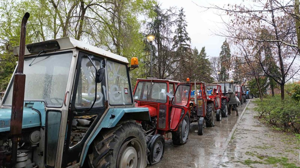 NUNS: Naći napadača na novinarku Istinomera iz Pionirskog parka 1