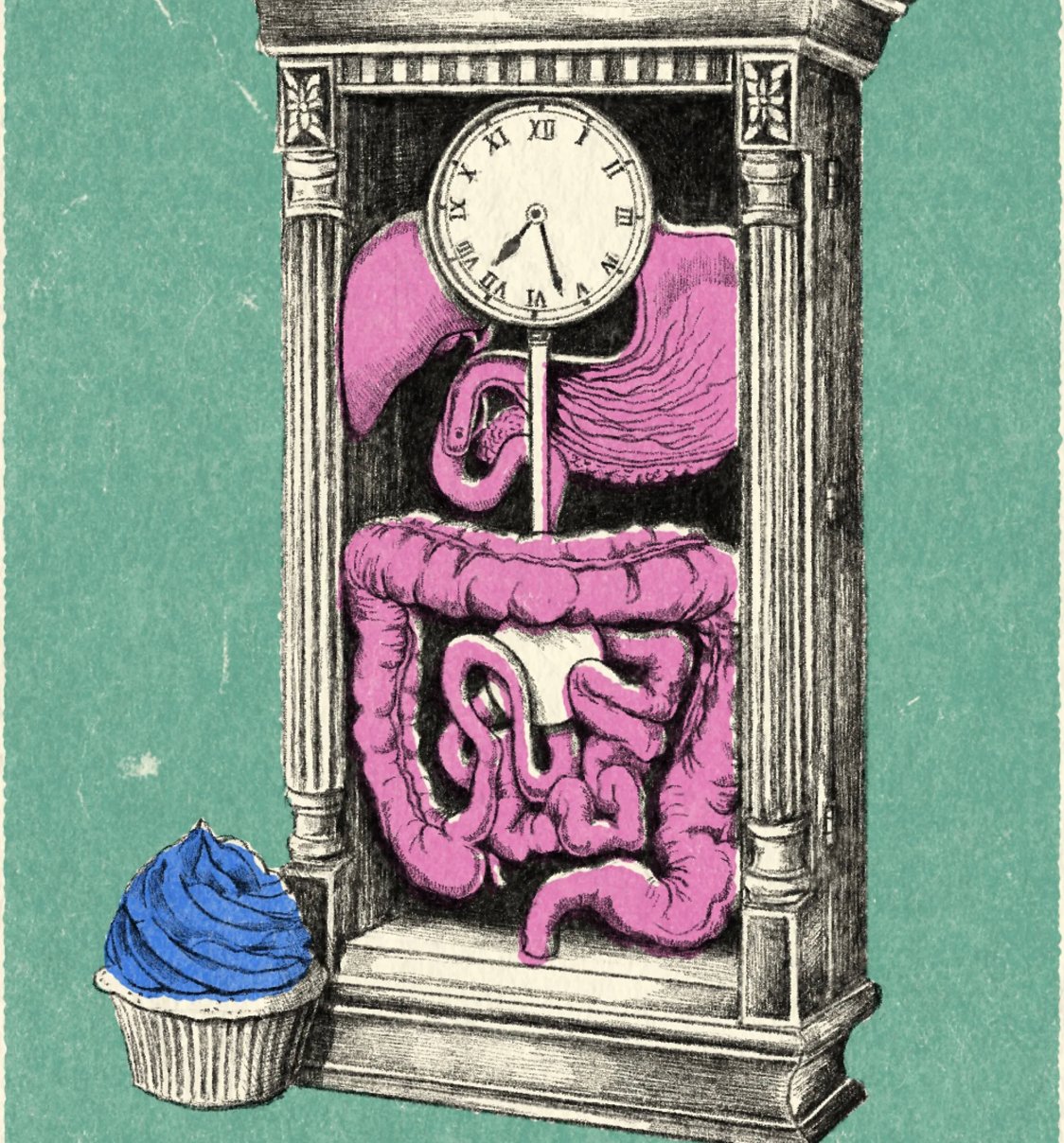 Kraće vreme prolaska hrane kroz creva, što u suštini znači češća stolica, povezano je sa zdravijim mikrobiomom 