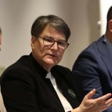 Bauk prelazne vlade 6