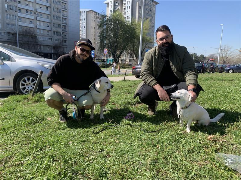 Incidenti u Čačku, upad u zgradu opštine, 12 sati 'odmeravanja' u Beogradu 10 studenti