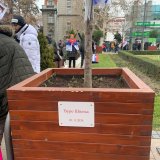 'Gde se maješ': Na protestu u Nišu predstavljen 'Studentski edikt' 5