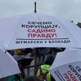 Protesti prosvetnih radnika: Posle Beograda, skup i u Novom Sadu 11