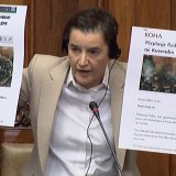 Ana Brnabić optužila Danas i pojedine lekare: „Odosmo u otvoreni fašizam“ 4