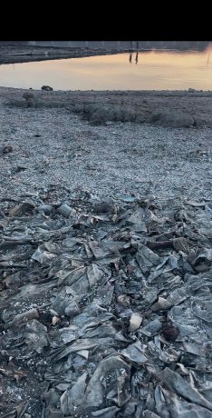 Jezero Gruža Jezero Gruža koje se koristi za vodosnabdevanje Kragujevca ugroženo ekološkim problemima (FOTO; VIDEO) 2