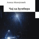 Pesničke staze koje se račvaju: Promocija knjige „Čaj od đumbira” Anice Manojlović u SKC-u Kragujevac 1