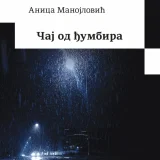 Pesničke staze koje se račvaju: Promocija knjige „Čaj od đumbira” Anice Manojlović u SKC-u Kragujevac 7