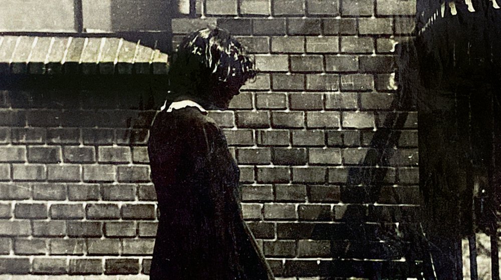 U Službenom glasniku predstavljeno srpsko izdanje porodične trilogije austrijske književnice Monike Helfer “Mosbrugerovi”, “Tata” i “Lavlje srce” 1