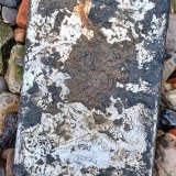 Kako je ajped iz Temze rešio zaveru za ubistvo koju su skovali pljačkaši muzeja 4