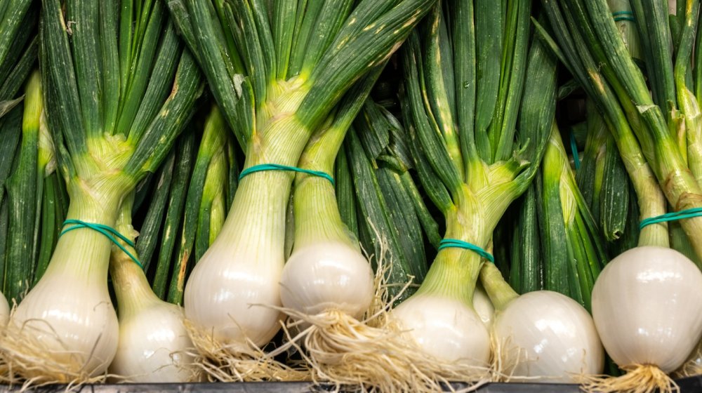 Počela je sezona mladog luka: Evo zašto treba da ga uvrstite u ishranu 1