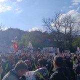 Dinstanje Dragana J. Vučićevića 5