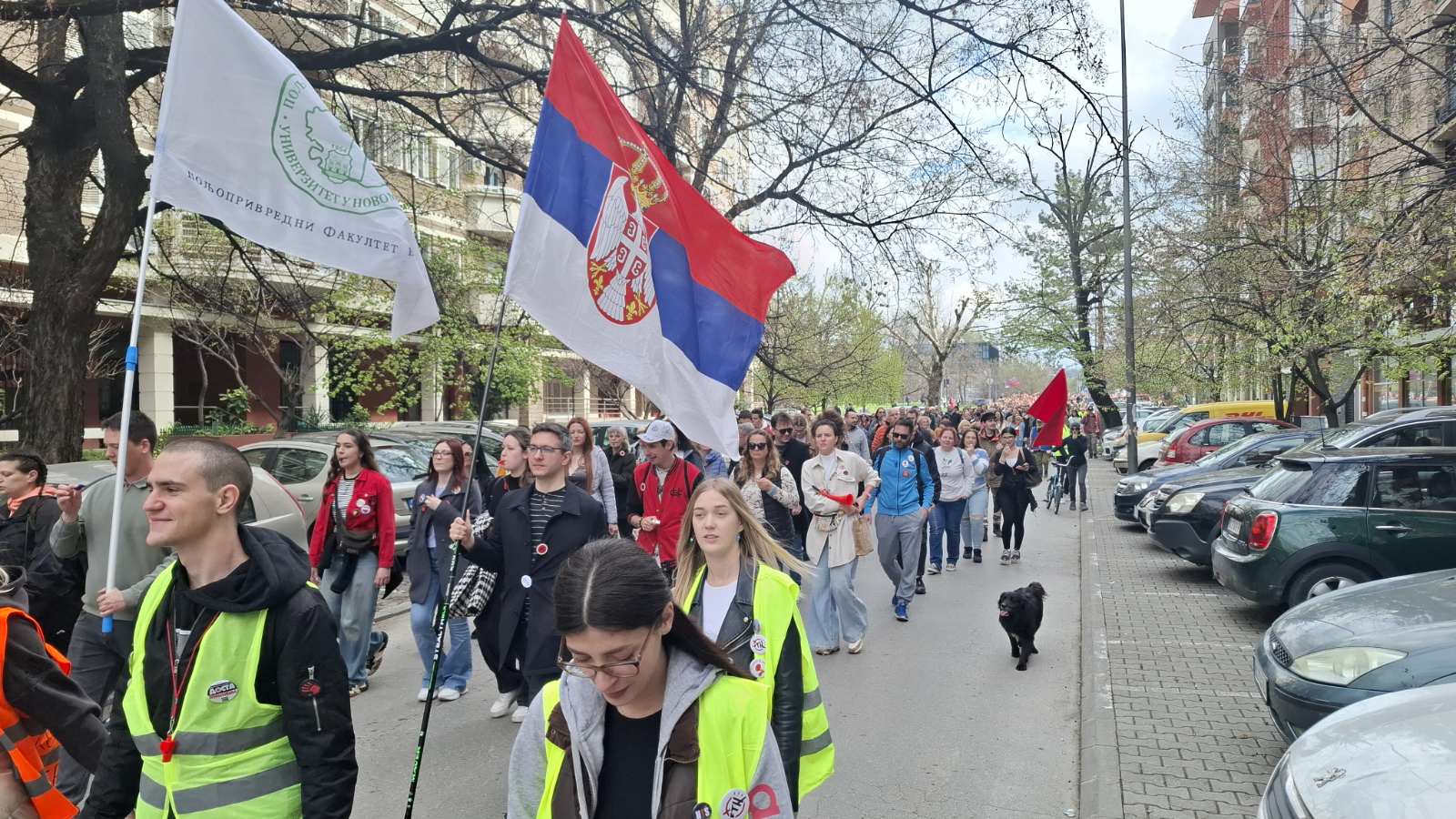 Iznuđena samoodbrana i zaboravljen suverenitet: Zborovi građana preplavili Novi Sad 2