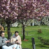 Sutra u Srbiji pretežno sunčano i toplo 4