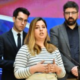 ZLF: Proširenjem Ruske ulice stradaće drvored 4