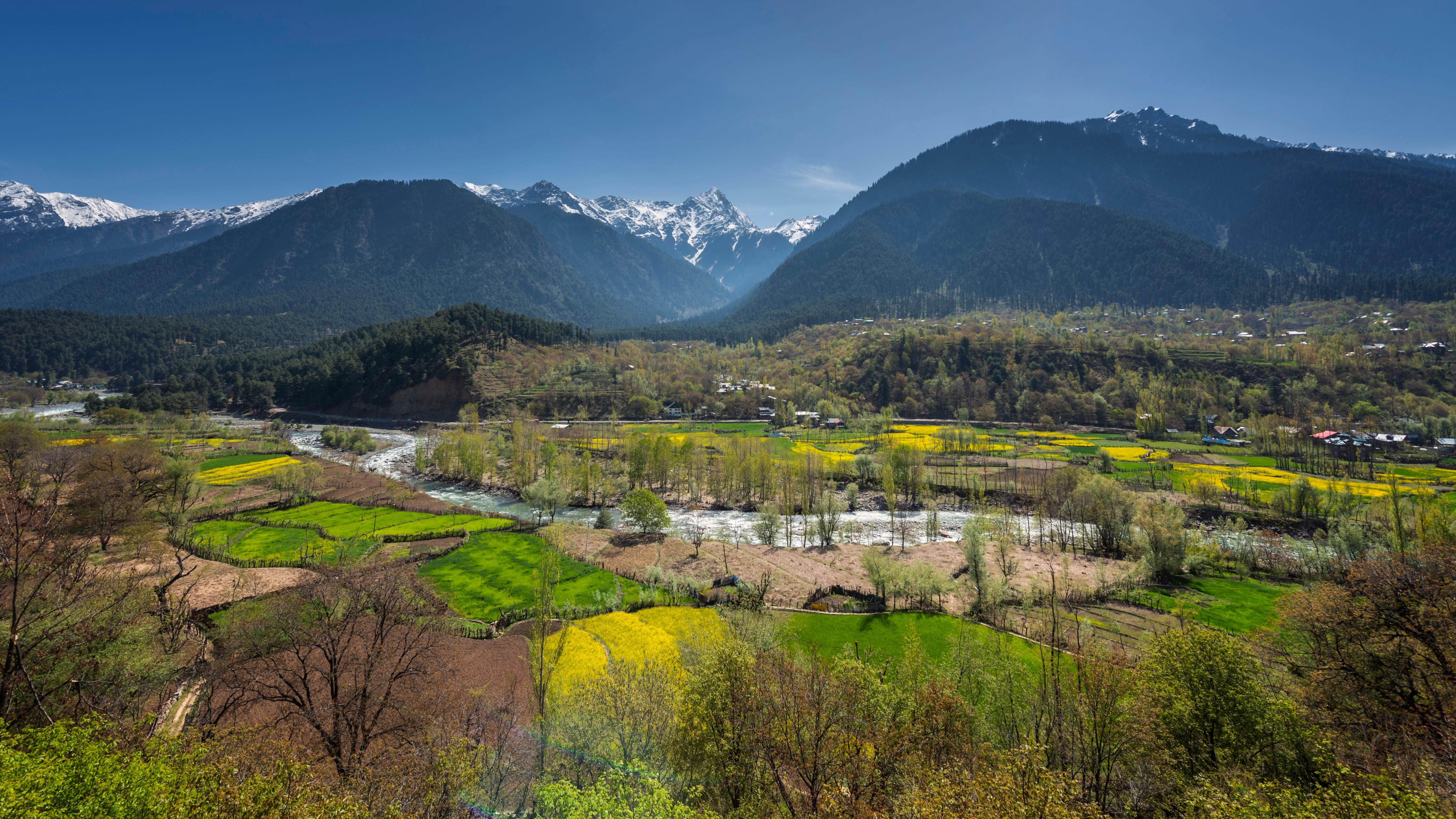 Zašto su u Kašmiru izbili neredi 7 Farme pirinča u podnožju Pahalgama u Kašmiru pod indijskom upravom