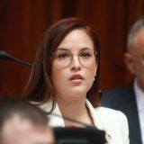 Srbija nominuje bukove šume za UNESKO prirodnu baštinu 7