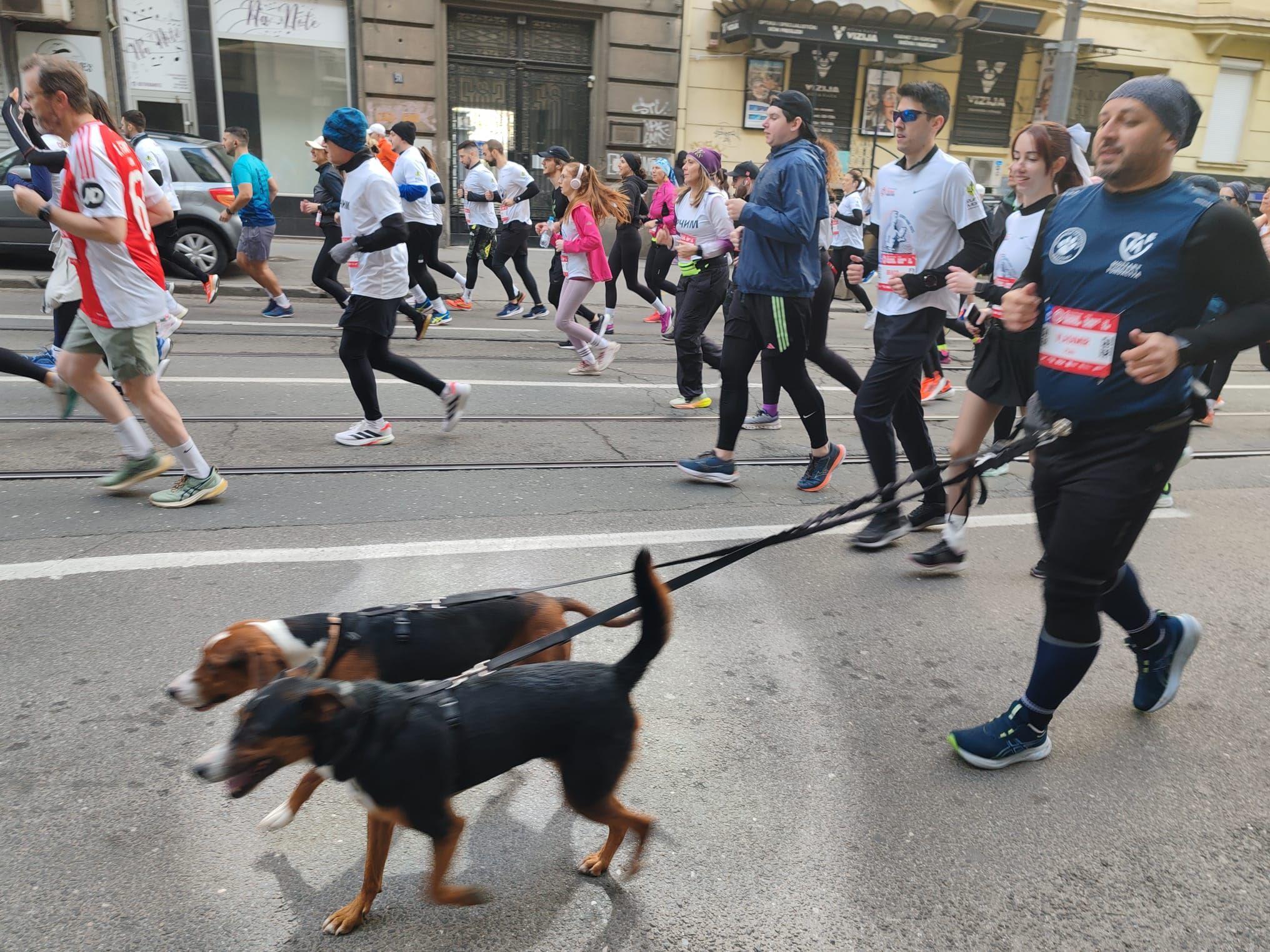 Rekordan broj učesnika, susnežica i 'Pumpaj': Beogradski maraton u fotografijama 6 Trkač sa kučićima na ulici