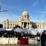 Proslava 1. maja ispred Skupštine Srbije: Više stotina ljudi, roštilj, muzika 7