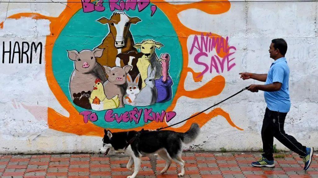 Ko ne izvede psa u šetnju, u Indiji može da završi u zatvoru 1 muškarac šeta psa