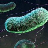 Tri miliona smrti dece povezano sa otpornošću na lekove, pokazuje istraživanje 6