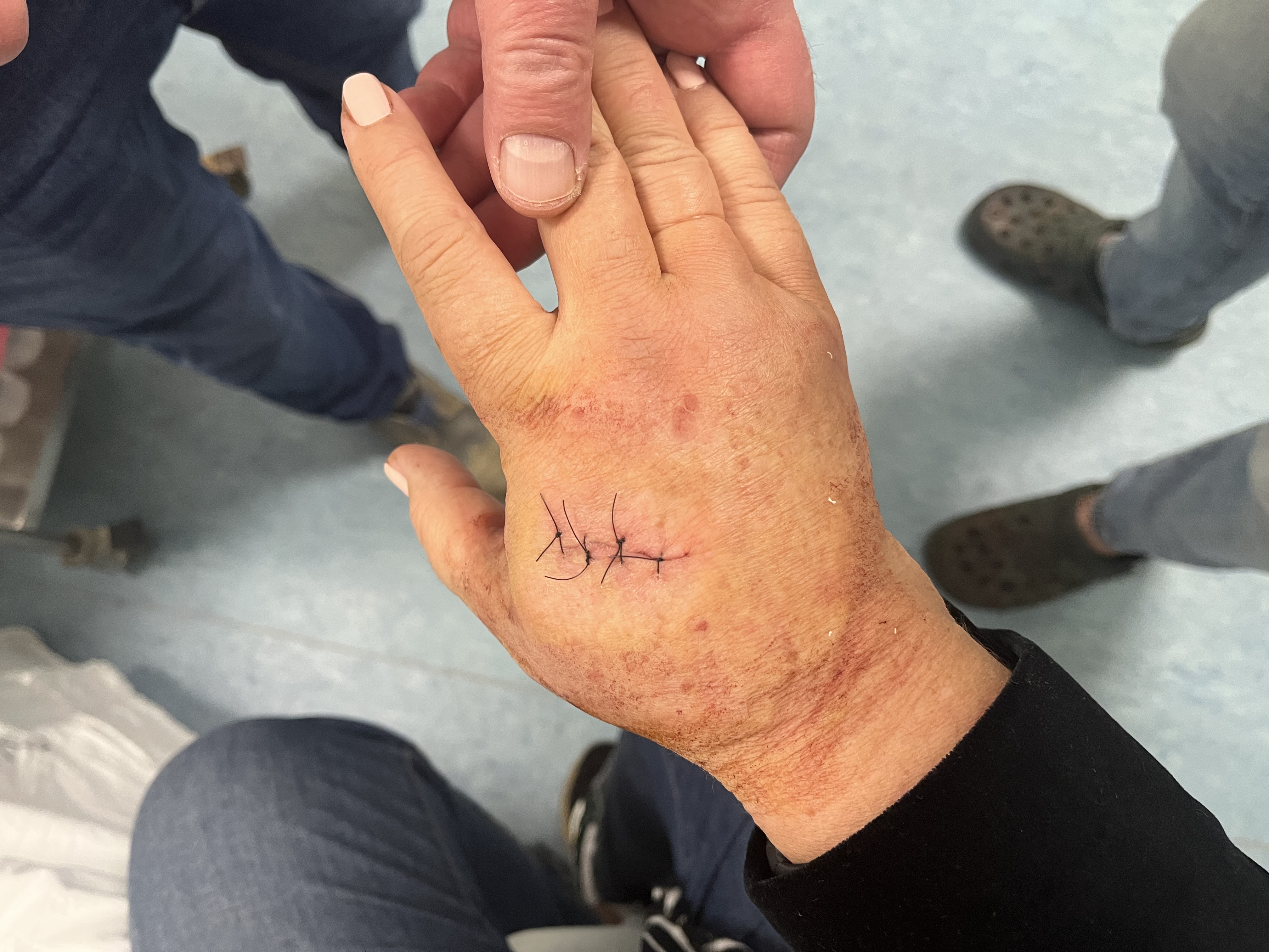 "Kao kada se seče krastavac i luk": Dekanka Filozofskog fakulteta u Nišu za Danas o Vučićevim ocenama napada na nju 1